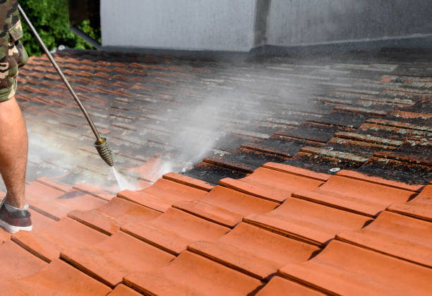 Best Residential Pressure Washing Services  in Berea, SC