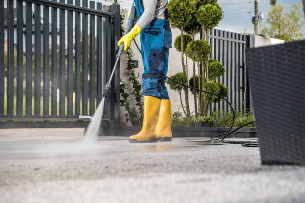 Best Roof Power Washing Services  in Berea, SC